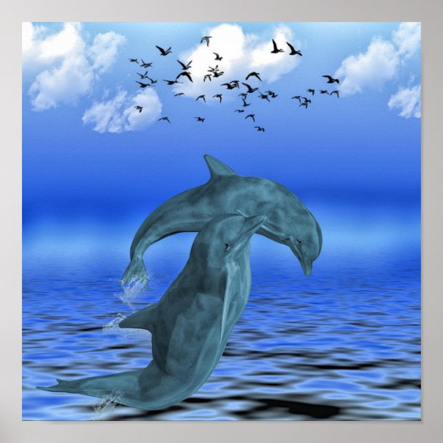 Dolphin Poster (Front)