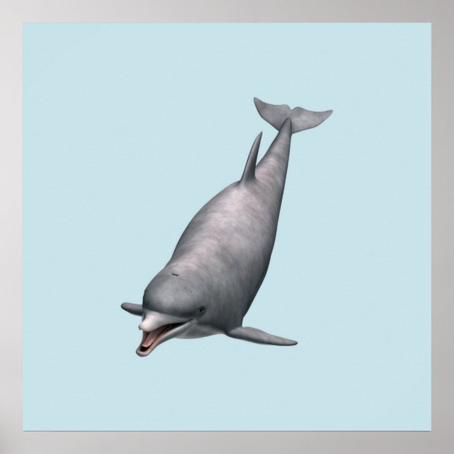 Dolphin Poster (Front)