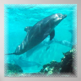 Dolphin Print