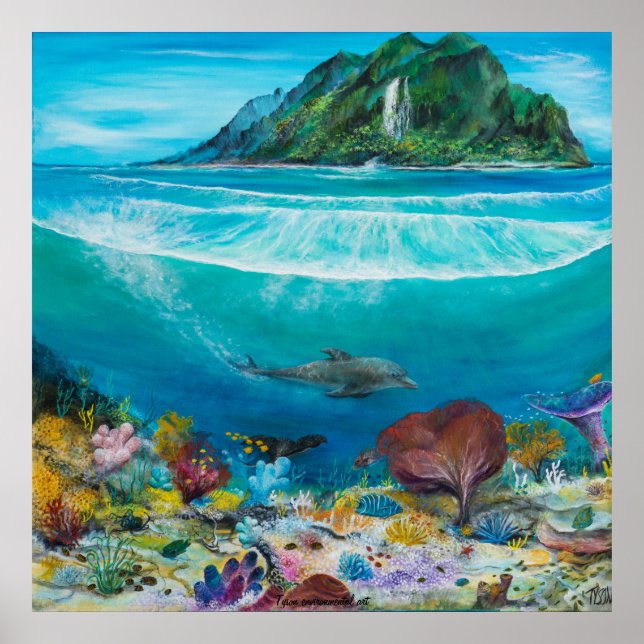 Dolphin print on (Front)