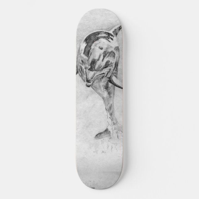 Dolphin Skateboard (Front)
