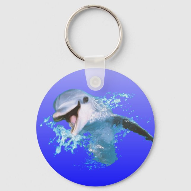 Dolphin Smiling Key Ring (Front)