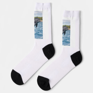 Dolphin Socks