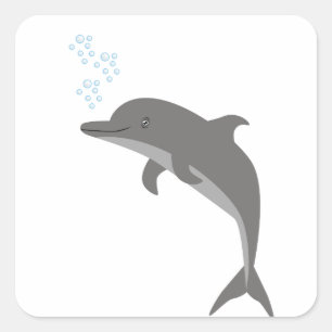Dolphin Square Sticker