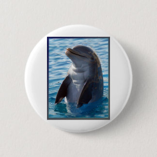 dolphin stand 6 cm round badge