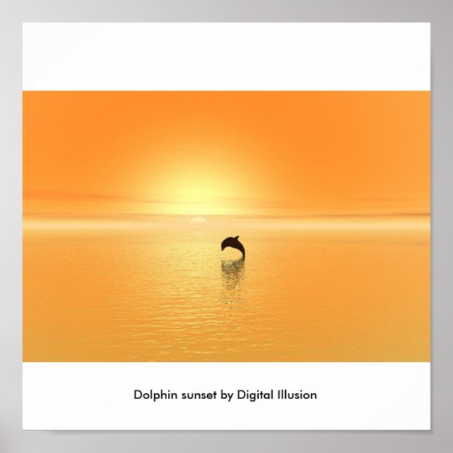 Dolphin sunset poster (Front)
