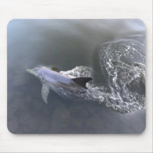 Dolphin Swimming Mouse Pad