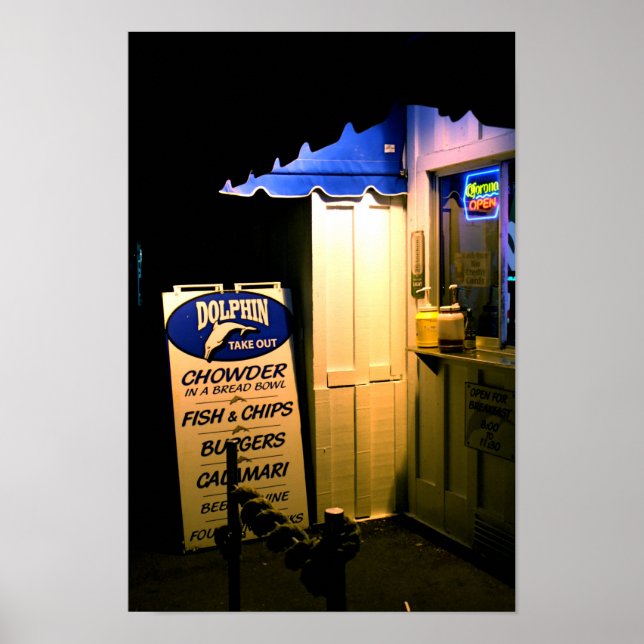 Dolphin Take Out At Night in Santa Cruz Poster (Front)