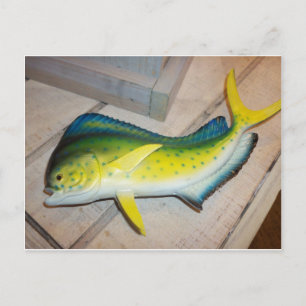 Dolphin The Fish (Not The Mammal) Postcard
