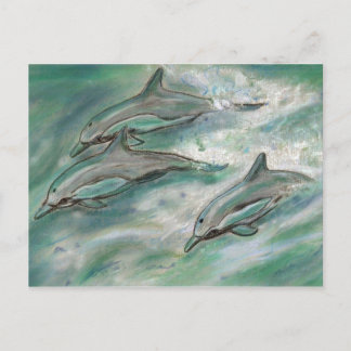 Dolphin Trio - postcard