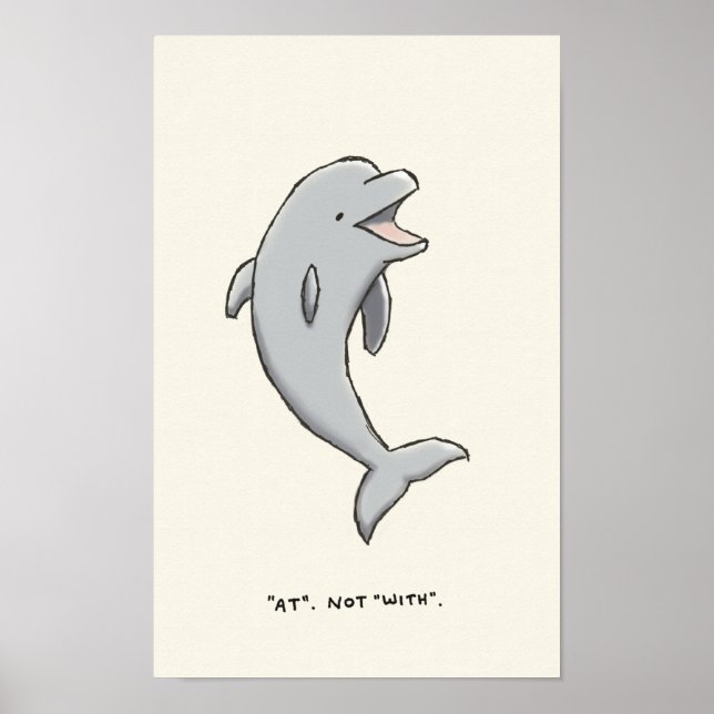 dolphin trivia poster (Front)