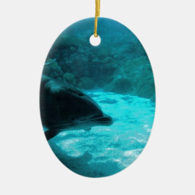 Dolphin Under Water Ceramic Tree Decoration (Front)