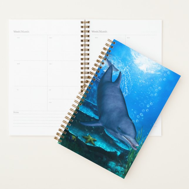 Dolphin Underwater Planner (Display)