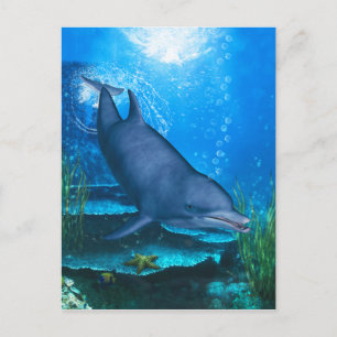 Dolphin Underwater Postcard