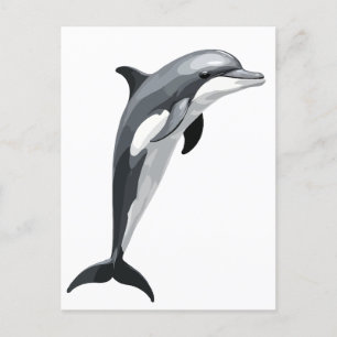 Dolphin Vector Art Illustration with Black White Holiday Postcard