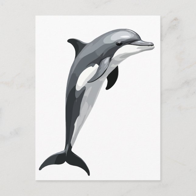 Dolphin Vector Art Illustration with Black White Holiday Postcard (Front)