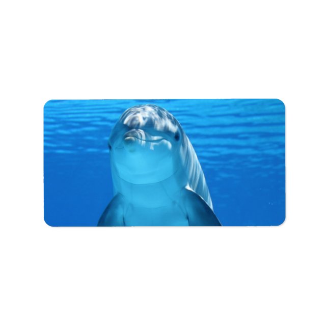 Dolphin Water Beach Tropical Paradise Island Fish Label (Front)