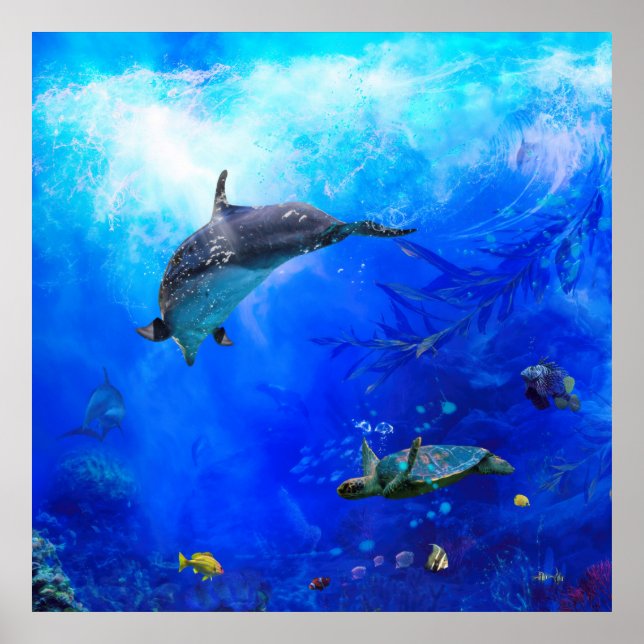 Dolphin World "WIND ON THE WATER" Poster (Front)