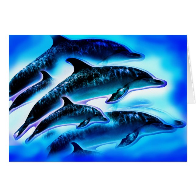 Dolphins (Front Horizontal)