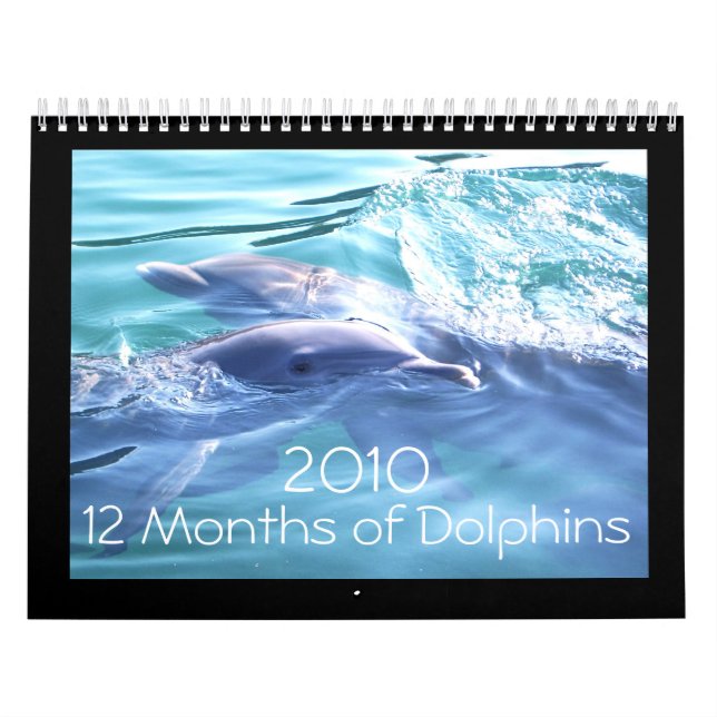 Dolphins 2010 Calendar (Cover)