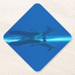 Dolphins and reflections paper coaster