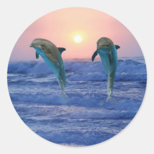 Dolphins at sunrise classic round sticker