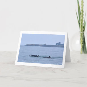 Dolphins at The Lighthouse-Blank Greeting Card
