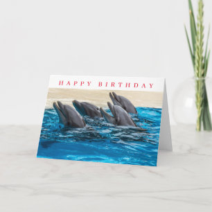 Dolphins birthday card