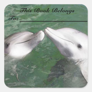 Dolphins Book Label