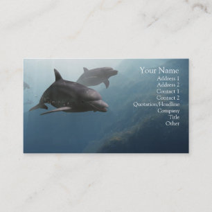 Dolphins Business Card