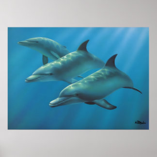 Dolphins by Andrew Patsalou Poster