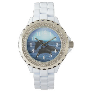 Dolphins by moonlight watch