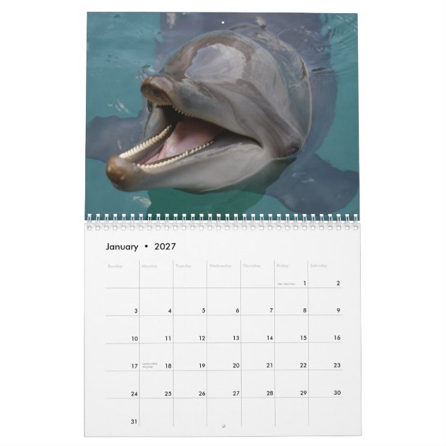 dolphins calendar (Jan 2027)