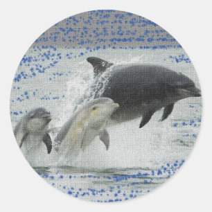 Dolphins Classic Round Sticker