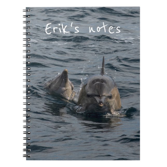 Dolphins Close-up Portrait, Tasmania, Australia Notebook (Front)