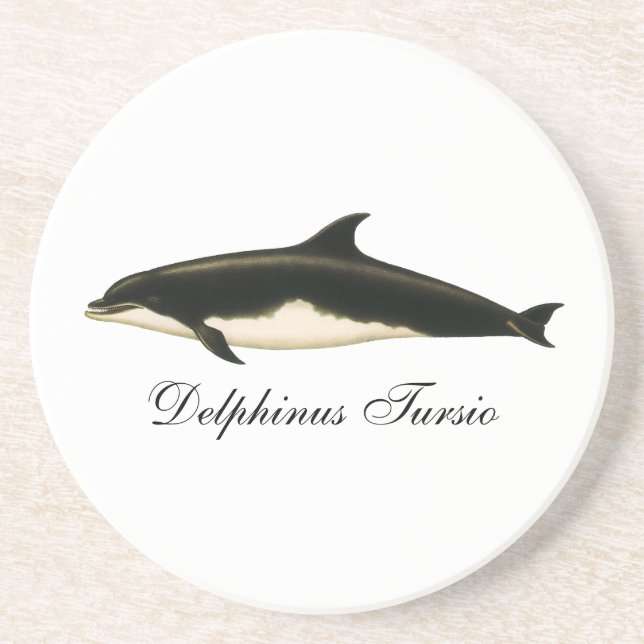 Dolphins Delphinus Tursio, Vintage Marine Animals Coaster (Front)
