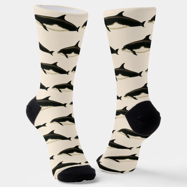 Dolphins Delphinus Tursio, Vintage Marine Animals Socks (Angled)