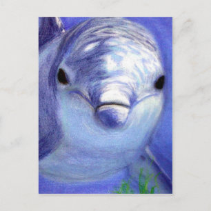 Dolphins Drawing Blue Dolphin Underwater Picture Postcard