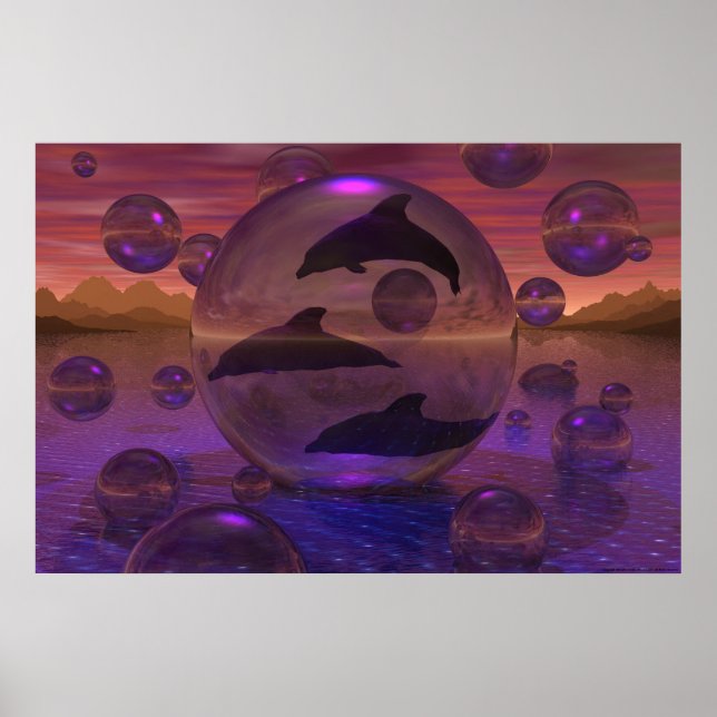 Dolphin's Escape Poster (Front)