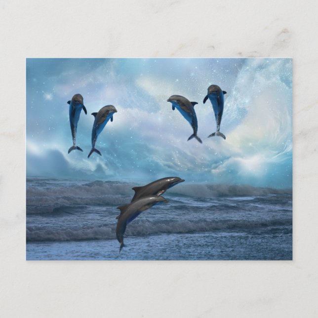 Dolphins fantasy postcard (Front)