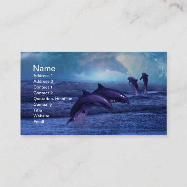 Dolphins fun and play business card (Front)