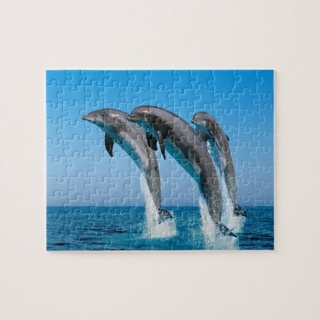 Dolphins Game Puzzle (Horizontal)