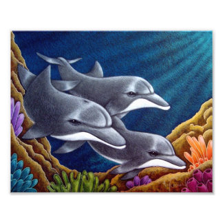 DOLPHINS IN A REEF 8" X 10" PRINT