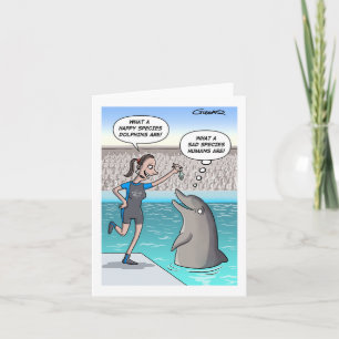 Dolphins in captivity card