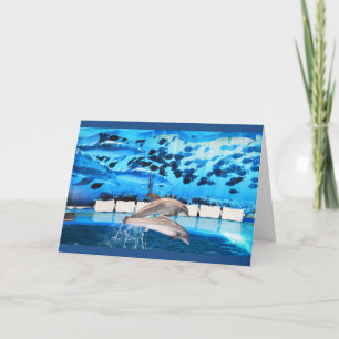 Dolphins in motion holiday card