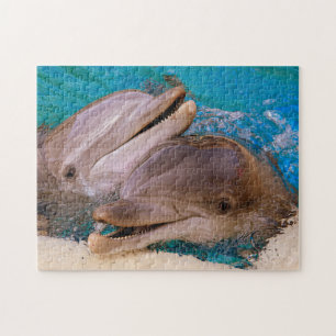 Dolphins in Nevada. Jigsaw Puzzle