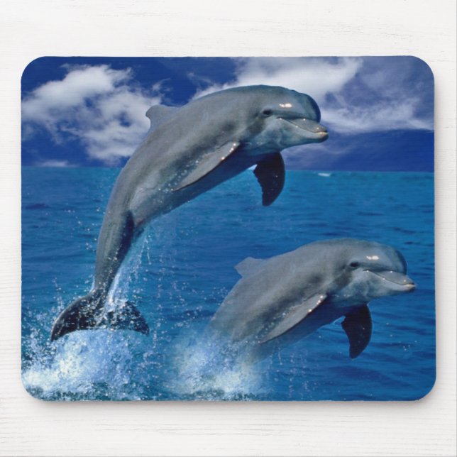 Dolphins  jumping for joy on a mouse pad (Front)
