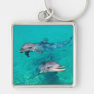 Dolphins Key Ring