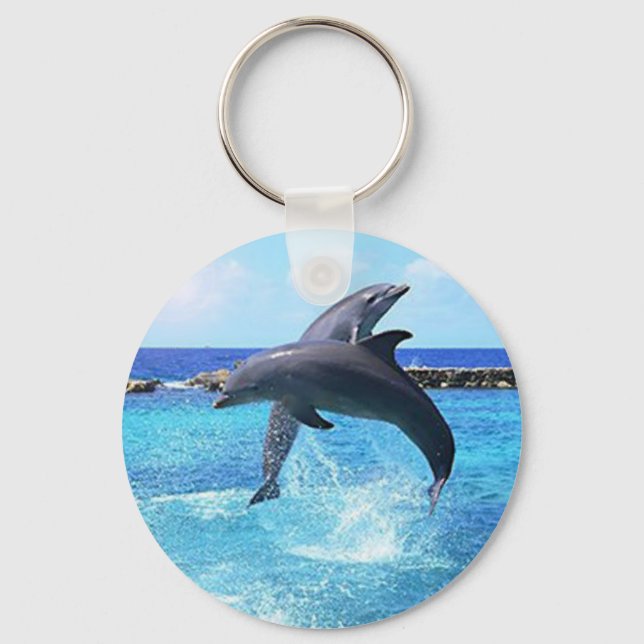 Dolphins Key Ring (Front)