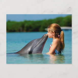 Dolphin's kiss postcard